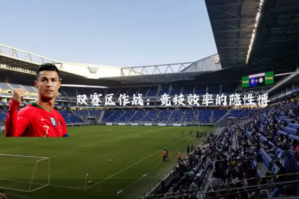 双赛区作战:竞技效率的隐性博弈